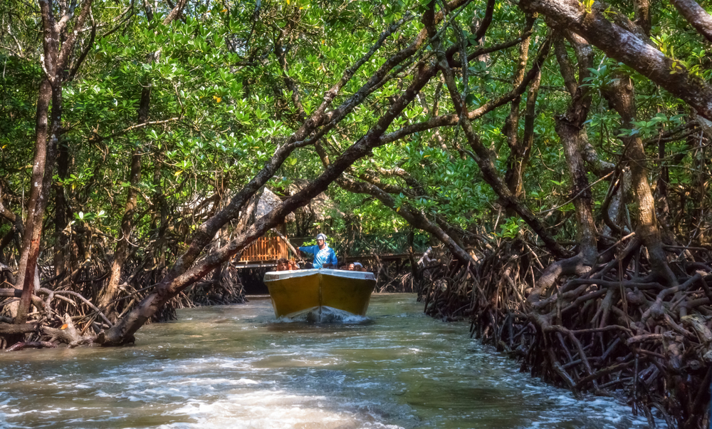 Spectacular South India Vacay